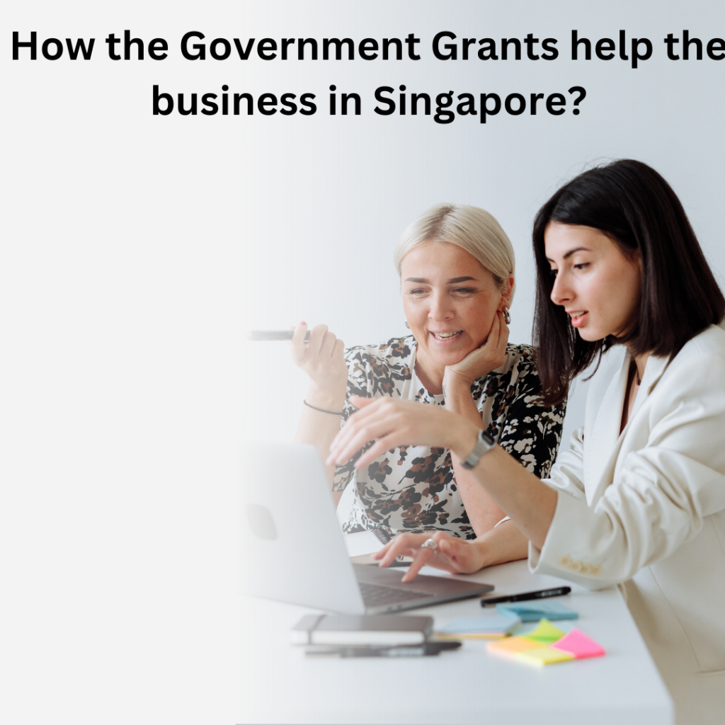 Government Grants